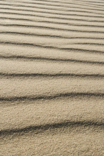 Vågig Sand på Jockey's Ridge National Park på North Carolina yttre banker — Stockfoto