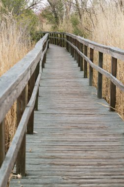 doğa boardwalk, north carolina dış bankalar