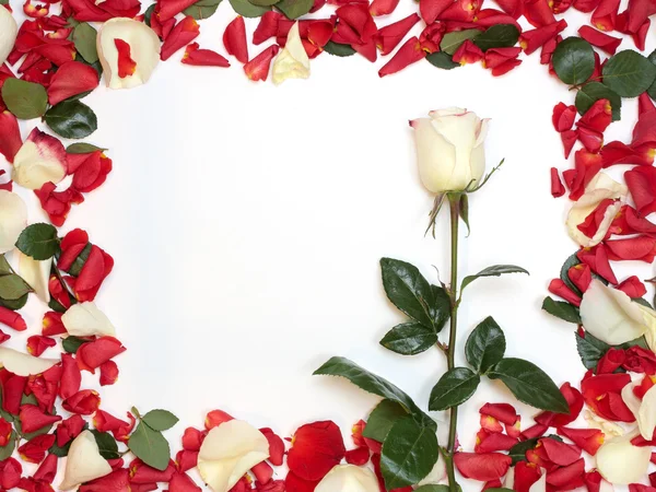 Cornice dei petali Foto Stock Royalty Free