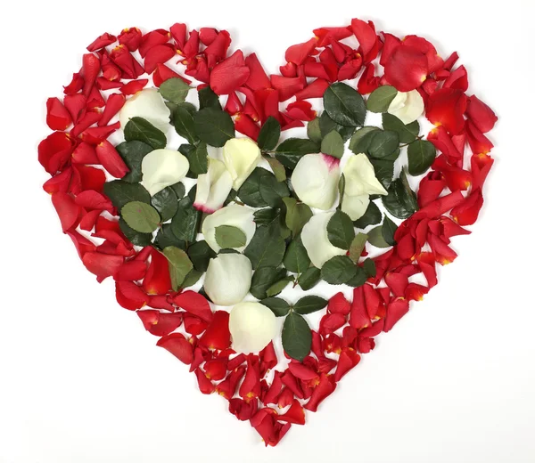 Hjärtat av kronbladen Royaltyfria Stockbilder