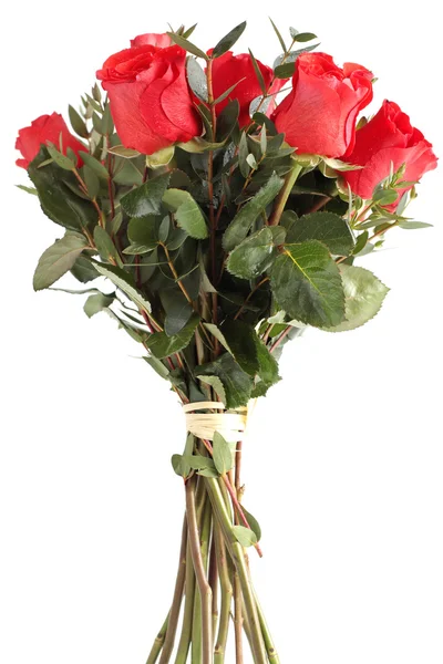 Czerwone róże Zdjęcie Stockowe