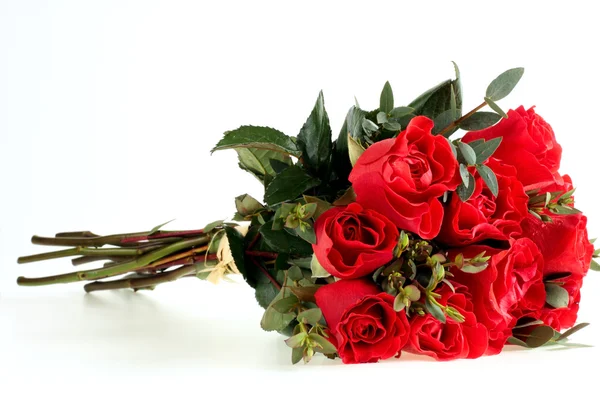 Červené růže Stock Snímky