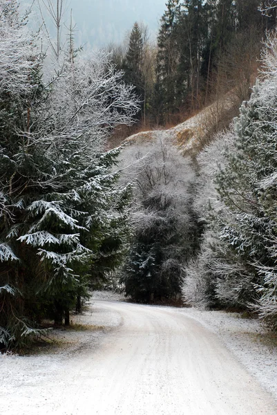 雪山の道 — ストック写真