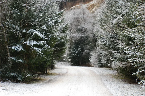 Snowy mountain road — Stock Photo, Image