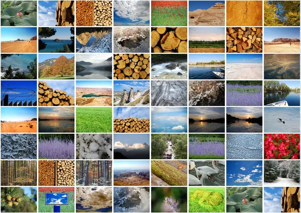 stock image Photo collage - Nature