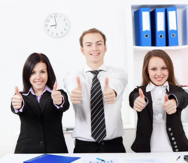 Young business in office — Stock Photo, Image