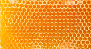 Beer honey in honeycombs. clipart
