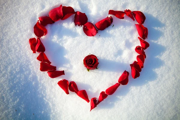 Hjärtat från rosenblad — Stockfoto