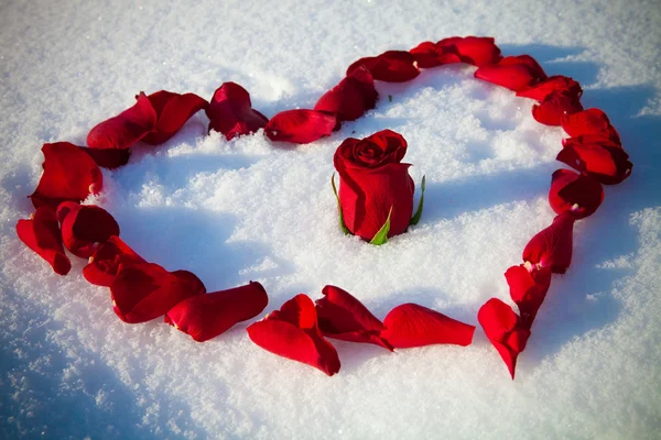 Heart from rose-petals — Stock Photo, Image