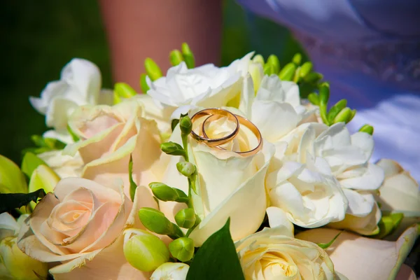 Rings on flowers. — Stock Photo, Image