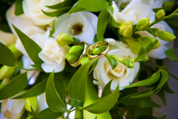 Two wedding rings — Stock Photo, Image