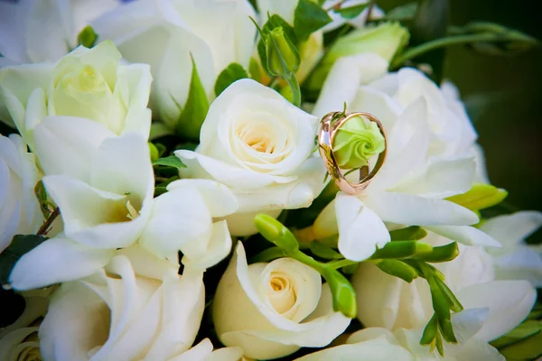 Anéis de casamento em flores. — Fotografia de Stock