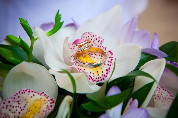 Δαχτυλίδια στα λουλούδια. — Φωτογραφία Αρχείου