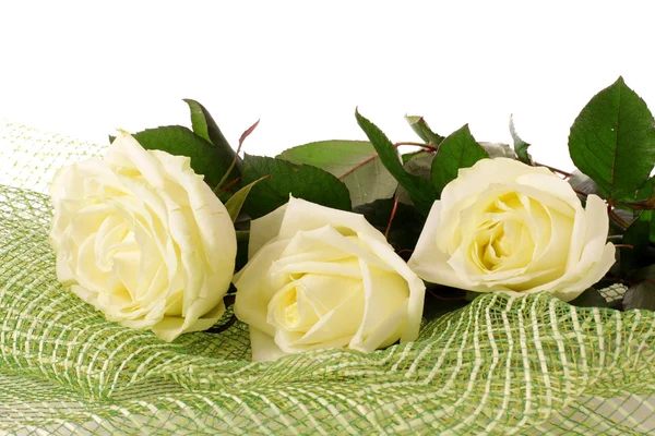 White roses — Stock Photo, Image