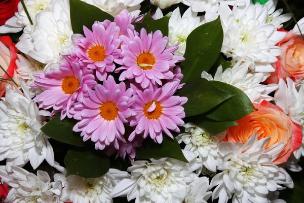 꽃다발 꽃. — 스톡 사진