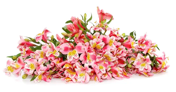 Różowy bukiet kwiatów. — Zdjęcie stockowe