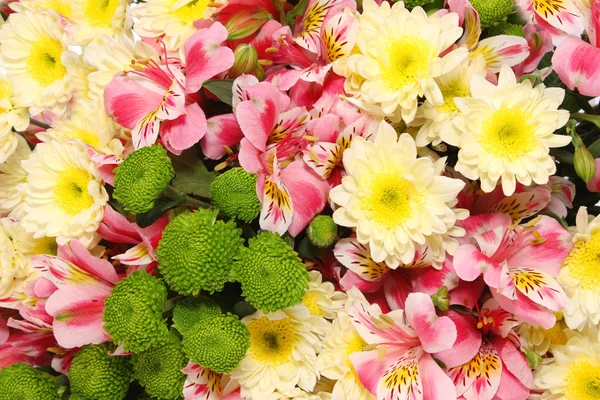 stock image Background from flowers.