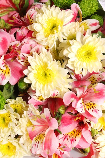 Background flowers. — Stock Photo, Image