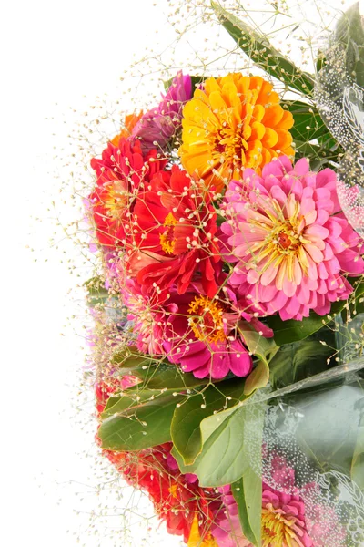 Flowers, on a mirror. — Stock Photo, Image