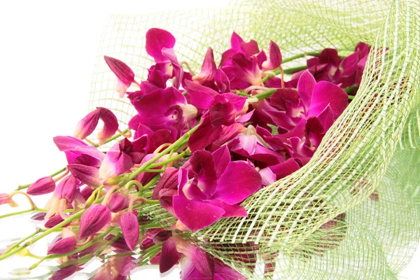 Ramo de orquídeas, aislado . — Foto de Stock