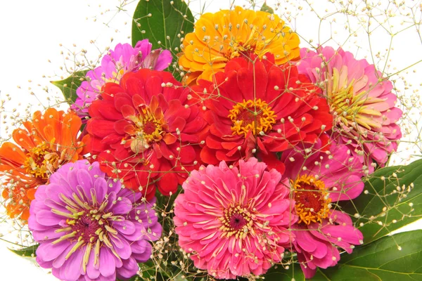 Kytice květin, izolované. — Stock fotografie