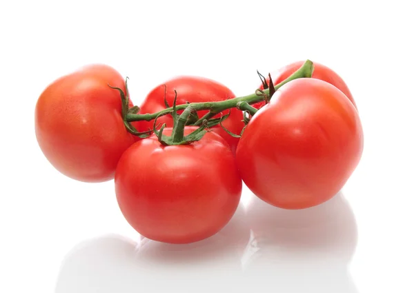 Tomates en wite . — Foto de Stock