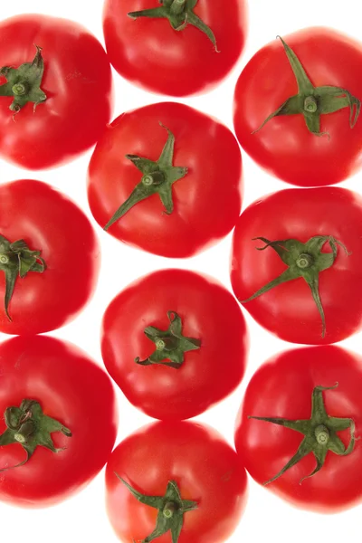 Tomates, isolées . — Photo