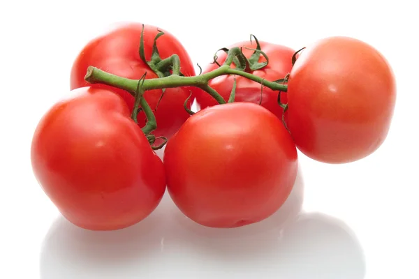 Tomates, isolados . — Fotografia de Stock