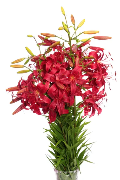 Bouquet red lilies. — Stock Photo, Image