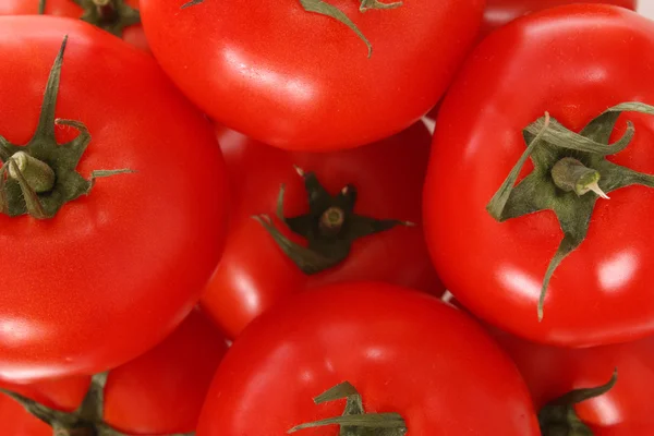 Antecedentes de tomates . — Foto de Stock