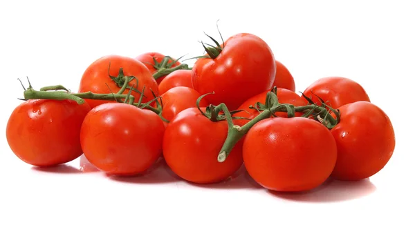 Tomates sur blanc . — Photo