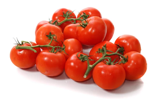 Tomaten op wit — Stockfoto
