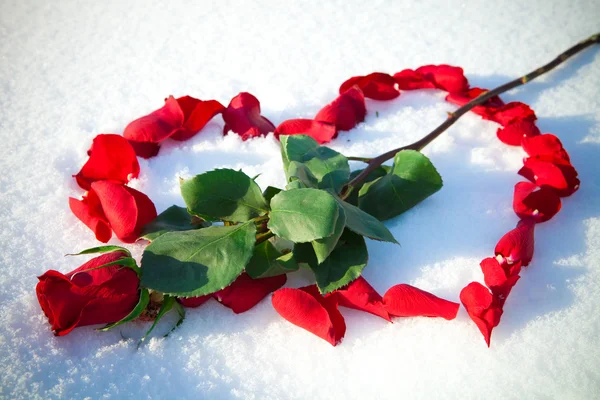 Herz aus Rosenblättern — Stockfoto