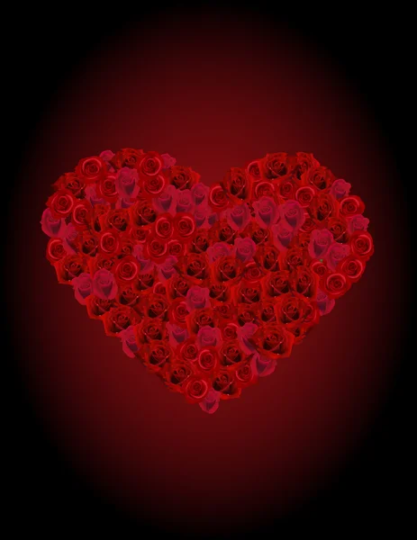 stock image Heart From Roses