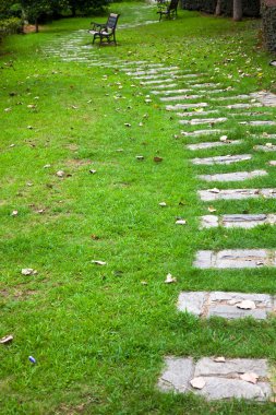 The alley of a garden outdoor.