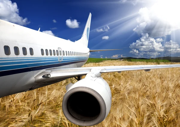 Letadlo s pozadím pšenice pole. — Stock fotografie