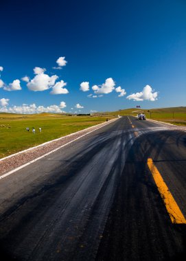 çayır yolu.