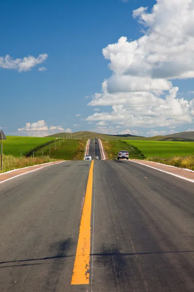 A estrada do prado . — Fotografia de Stock