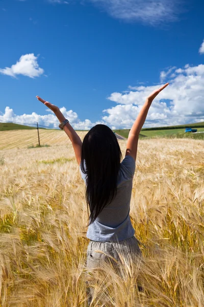 The girl stand in the wheaten field. — Stock Photo, Image