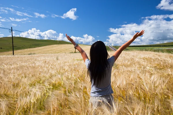 Gadis itu berdiri di lapangan wheaten . — Stok Foto