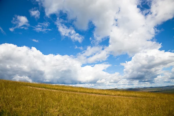 内蒙古的草地 — 图库照片