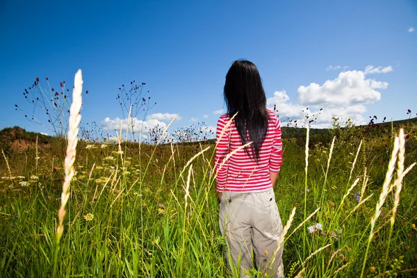 屋外の草原の女の子 — ストック写真