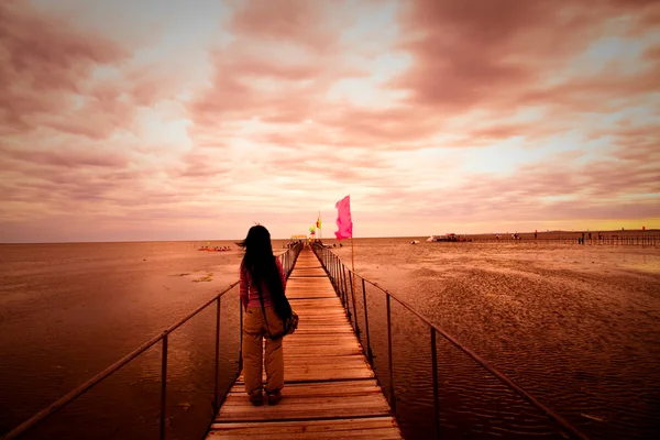 Gadis itu berdiri di jembatan . — Stok Foto