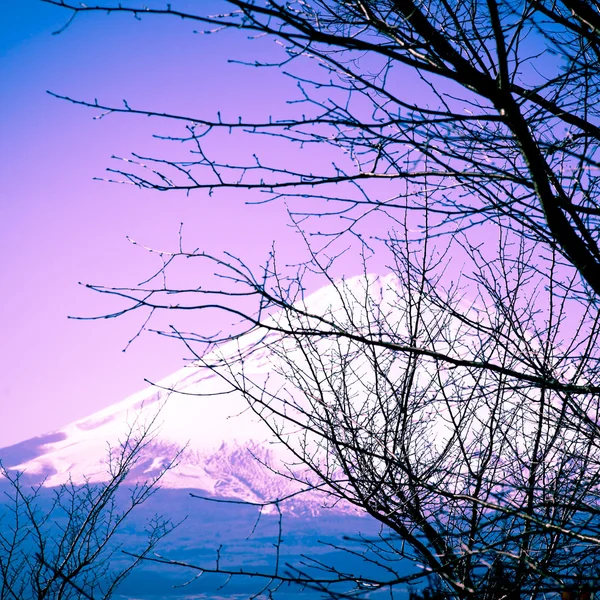 Fuji-Berg — Stockfoto