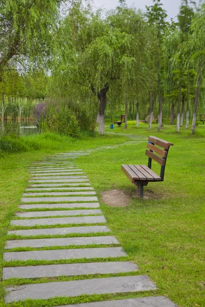 Der Baum eines Parks im Freien. — Stockfoto