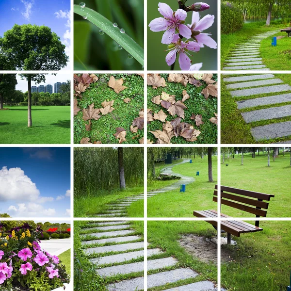 Přírodní pozadí o scéně města v zahradě a parku. — Stock fotografie