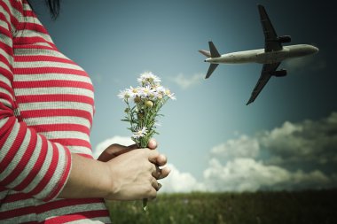 Airplane and flower clipart
