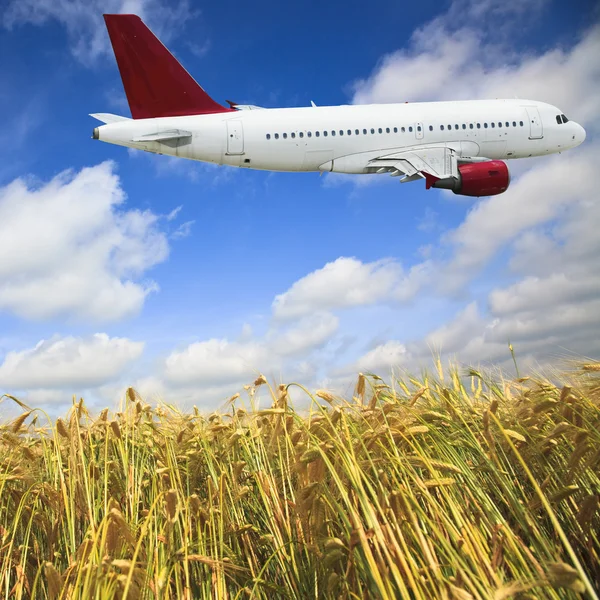 Uçak ve buğday alanı — Stok fotoğraf