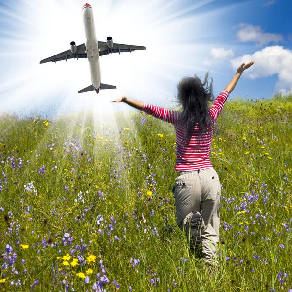 Airplane and flower — Stock Photo, Image