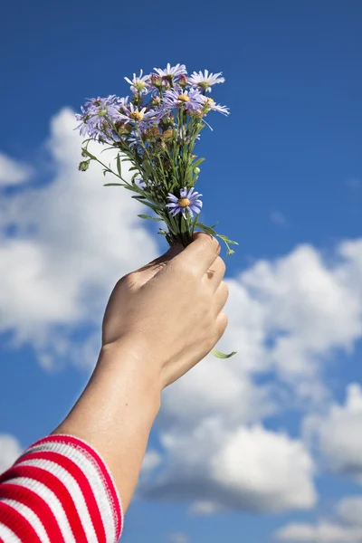 Fleur à la main — Photo